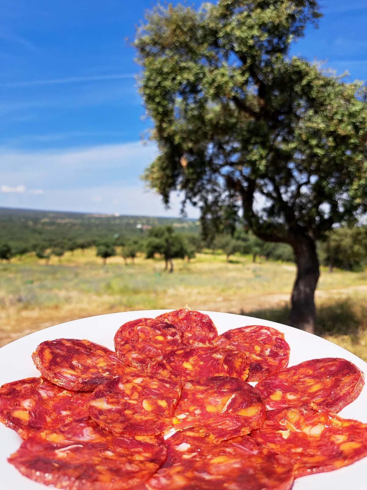 Plato Chorizo de Bellota