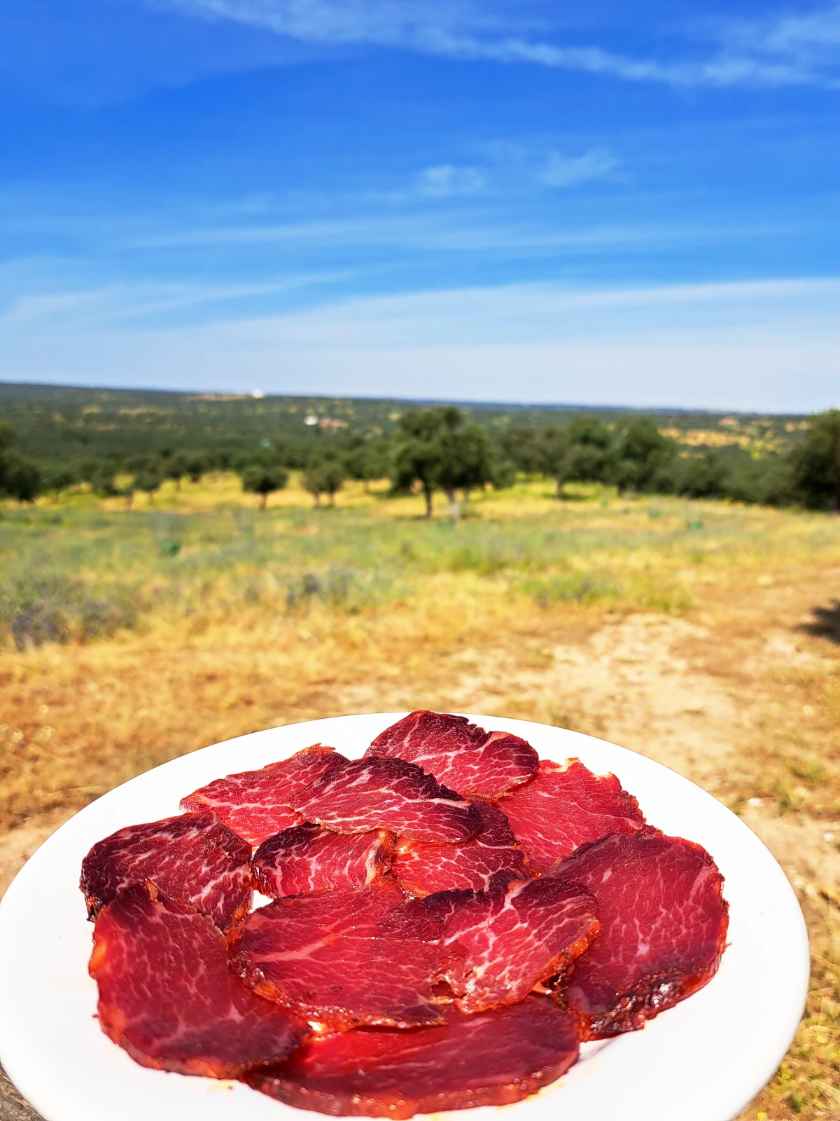 Plato Lomito de Bellota Ibérico