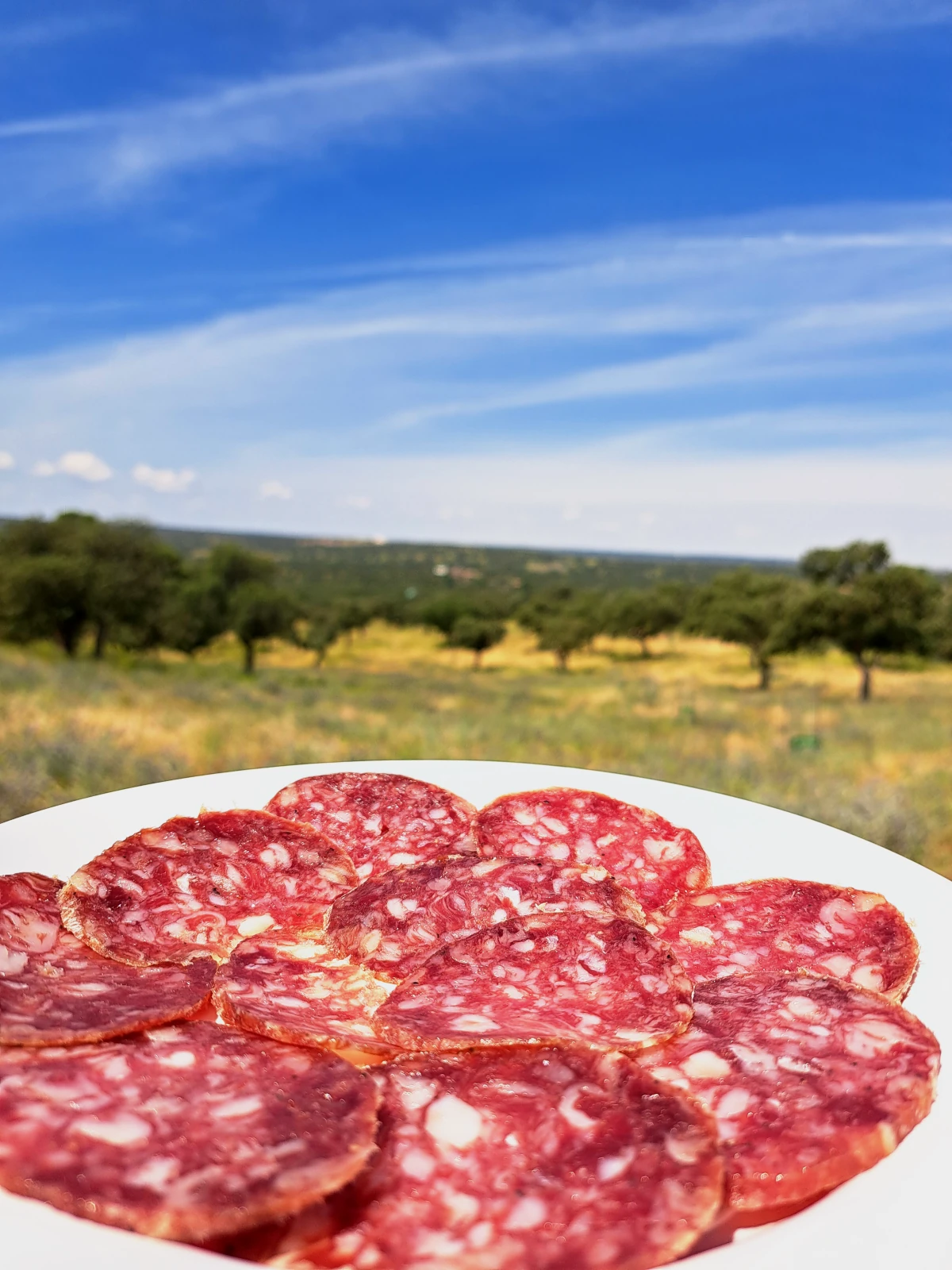 Plato Salchichón de Bellota