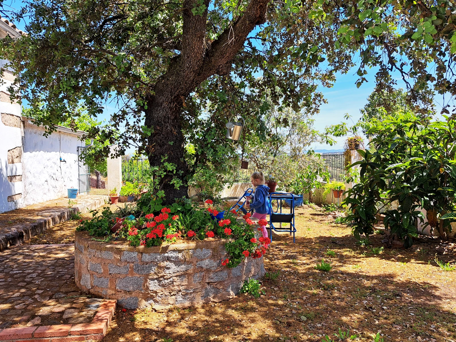 Vivienda Rural Las Lagartosas